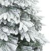 Product Thumbnail Image 5 of 9
