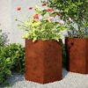 Product Thumbnail Image 3 of 16