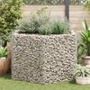 vidaXL Hexagonal Gabion Raised Bed 160x140x100 cm