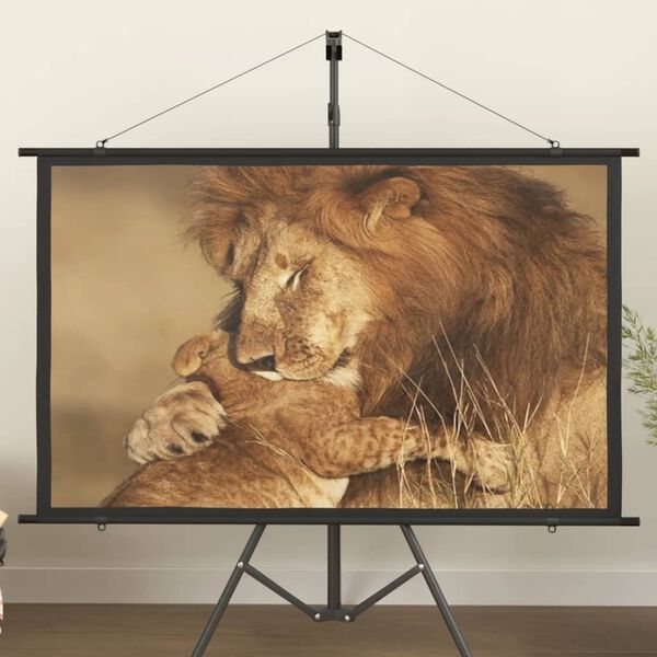 vidaXL Projection Screen 60" 16:9