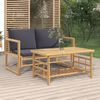 vidaXL 2 Piece Garden Lounge Set with Dark Grey Cushions Bamboo