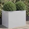 Product Thumbnail Image 2 of 12