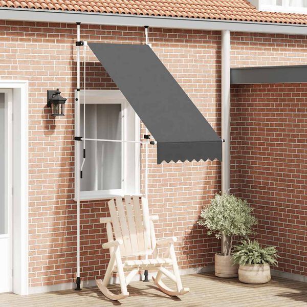 vidaXL Manual Retractable Awning 100 cm Anthracite
