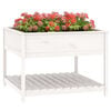 Product Thumbnail Image 4 of 8
