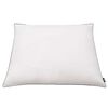 vidaXL Pillows 2 pcs Down/Feather Filling Light 80x80 cm White