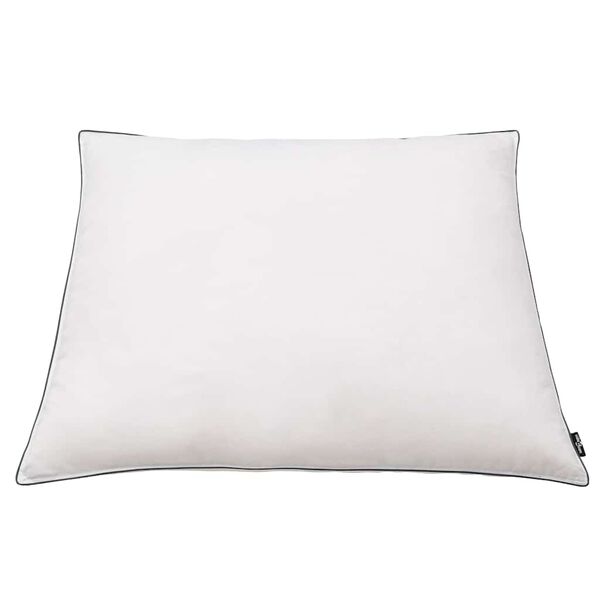 vidaXL Pillows 2 pcs Down/Feather Filling Light 80x80 cm White