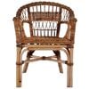 vidaXL Outdoor Chair Natural Rattan Brown