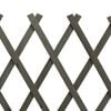 Product Thumbnail Image 6 of 7