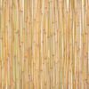 vidaXL Bamboo Fence 300x100 cm