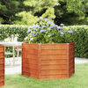 Product Thumbnail Image 2 of 7