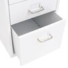 vidaXL Mobile File Cabinet White 28x41x69 cm Metal