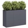 vidaXL Planter Anthracite 120x40x80 cm Cold-rolled Steel