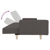 vidaXL 2-Seater Sofa Bed with Two Pillows Dark Grey Fabric