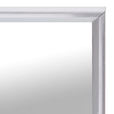 vidaXL Mirror Silver 100x60 cm