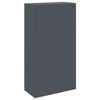 vidaXL Parcel Drop Box with Storage Anthracite 44 x 22 x 82 cm Steel