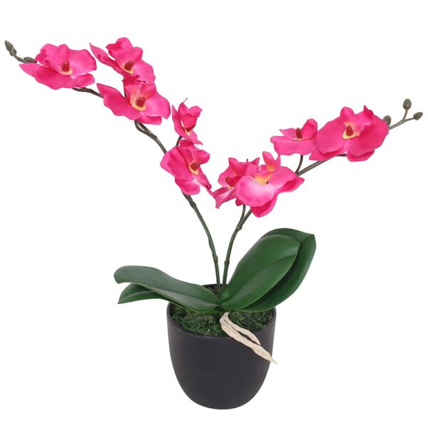 Showing Product Image 1 of 2