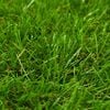 Product Thumbnail Image 3 of 4
