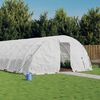vidaXL Greenhouse with Steel Frame White 40 m&sup2; 8x5x2.3 m