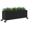 Product Thumbnail Image 4 of 11