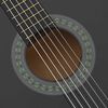 vidaXL 12 Piece Classical Guitar Beginner Set Black 4/4 39"