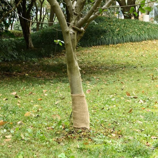 Showing Product Image 2 of 7