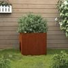 vidaXL Planter 49x47x46 cm Corten Steel