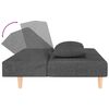 vidaXL 2-Seater Sofa Bed with Two Pillows Dark Grey Fabric