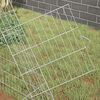 Product Thumbnail Image 4 of 12