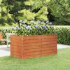 vidaXL Garden Raised Bed Rusty 160x80x77 cm Corten Steel