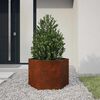 Product Thumbnail Image 2 of 12
