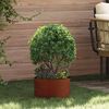 Product Thumbnail Image 2 of 11