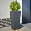 Product Thumbnail Image 2 of 12