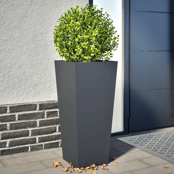 Showing Product Image 2 of 12