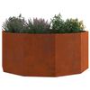 Product Thumbnail Image 3 of 11