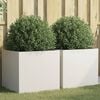 Product Thumbnail Image 2 of 11