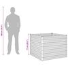 Product Thumbnail Image 13 of 13