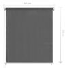 vidaXL Outdoor Roller Blind 80x230 cm Anthracite