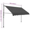 vidaXL Manual Retractable Awning with LED 250 cm Anthracite