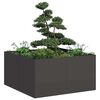 Product Thumbnail Image 2 of 9