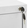 vidaXL Filing Cabinet Light Grey 46x62x102.5 cm Steel