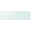 vidaXL Shelf Panel Glass Clear 90x25 cm