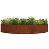 Product Thumbnail Image 3 of 12