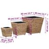 vidaXL Raised Beds 3 pcs Water Hyacinth
