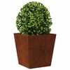 Product Thumbnail Image 3 of 12