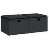 vidaXL 2 Piece Garden Sofa Set with Cushions Black Poly Rattan Acacia