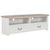 vidaXL TV Cabinet White 120x30x40 cm Wood
