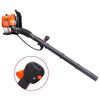 vidaXL Petrol Backpack Leaf Blower 900 m&sup3;/h 42.7 cc