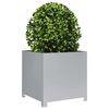 Product Thumbnail Image 3 of 11
