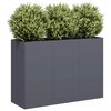 Product Thumbnail Image 2 of 9