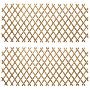vidaXL Expandable Trellis Fence 2 pcs Light Brown 100 x 105 cm Bamboo